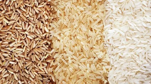 قیمت برنج رکورد زد