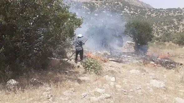 مهار ‌ آتش‌سوزی در منطقه حفاظت شده در مرودشت 
