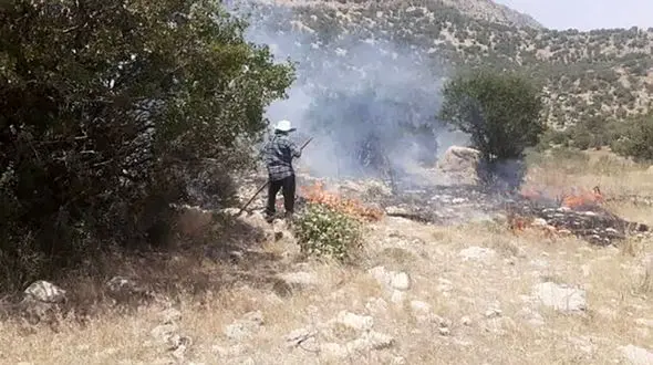 مهار ‌ آتش‌سوزی در منطقه حفاظت شده در مرودشت 