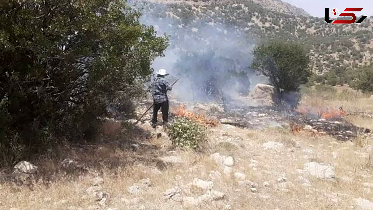 مهار ‌ آتش‌سوزی در منطقه حفاظت شده در مرودشت 