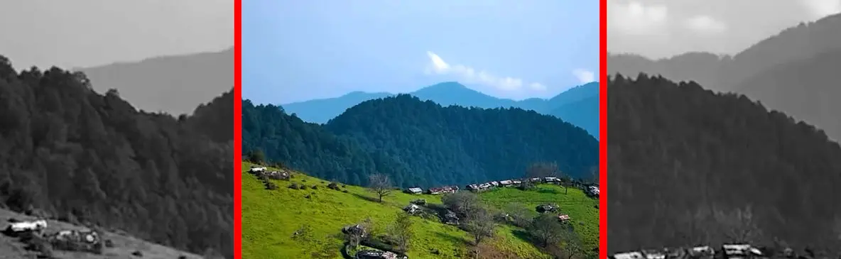 فیلم طبیعت بکر و سرسبز جواهردشت