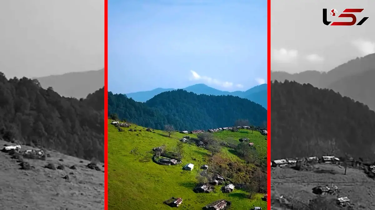 فیلم طبیعت بکر و سرسبز جواهردشت