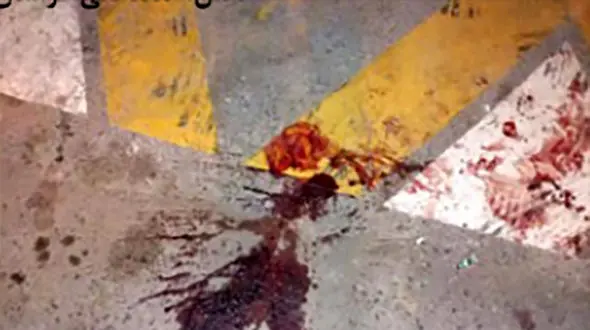 قتل خونین جوان مشهدی در یک کافه / قاتل 20 ساله تسلیم پلیس شد