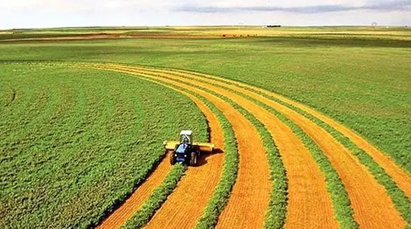 افزایش تولید 350 هکتاری در اراضی دیم لرستان/ در قالب طرح جهش تولید اجرایی می‌شود