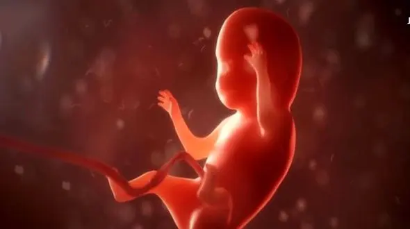 حکم شرعی سقط جنین / دفتر مقام معظم رهبری منتشر کرد