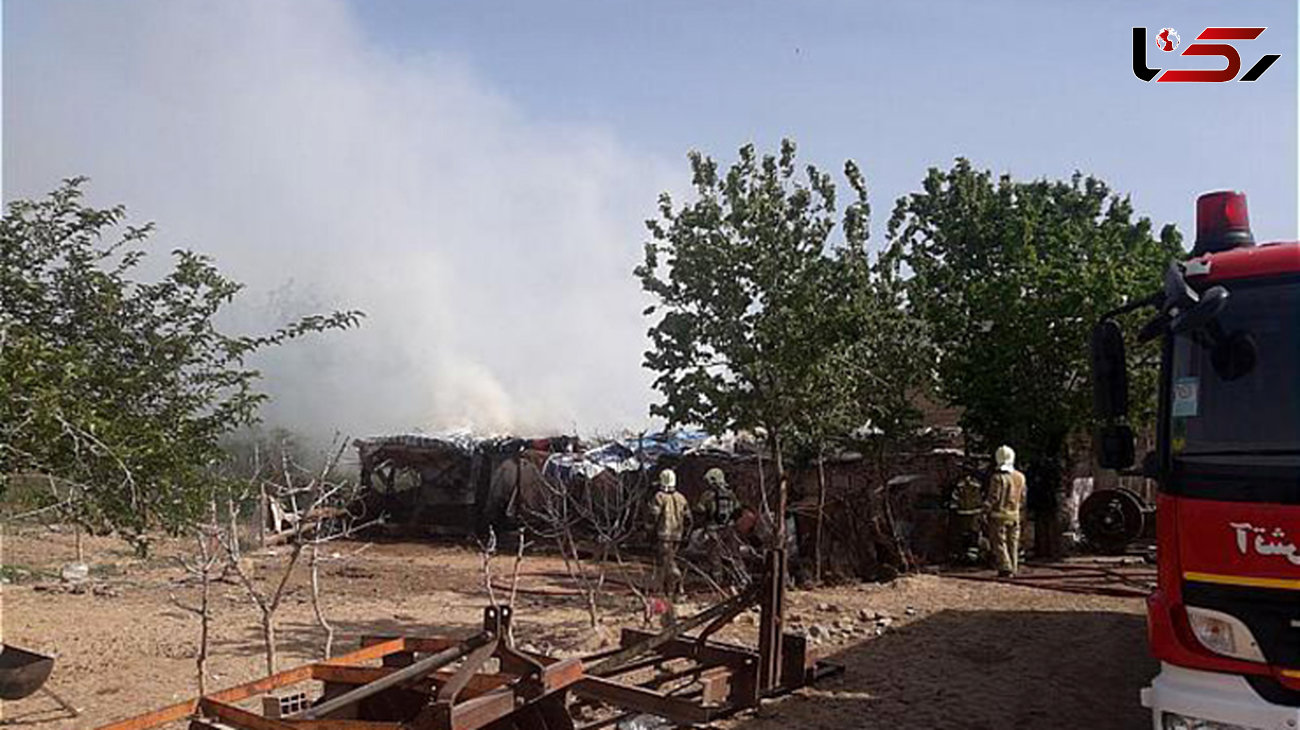 آتش سوزی یک دامداری در جاده ورامین 