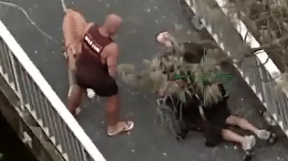 دستگیری سارق توسط رهگذری در استرالیا + فیلم 