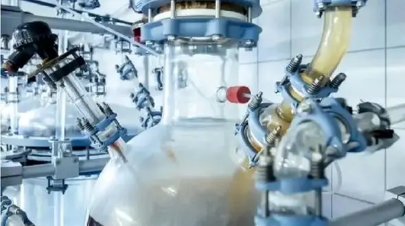 تحولی بزرگ در بازیافت: زباله‌ ها به غذا تبدیل می‌ شوند