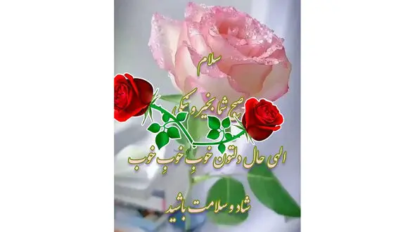 فال روزانه شخصی/ 25 مرداد ماه + فیلم