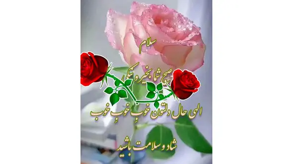 فال روزانه شخصی/ 25 مرداد ماه + فیلم