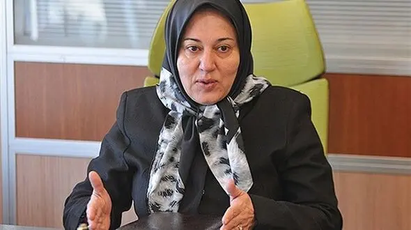 مقیمی: 50 درصد زنان کارآفرین کشور ورشکست شده اند / معاونت زنان از کسب و کارهای زنانه حمایت نکرد