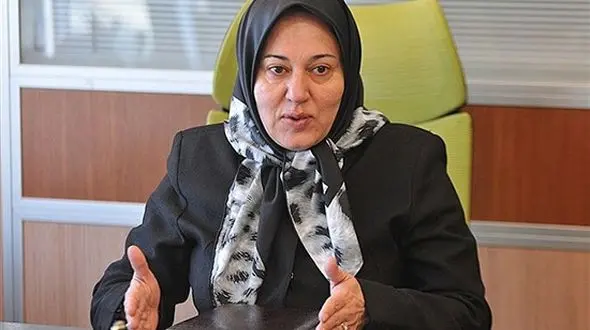 مقیمی: 50 درصد زنان کارآفرین کشور ورشکست شده اند / معاونت زنان از کسب و کارهای زنانه حمایت نکرد