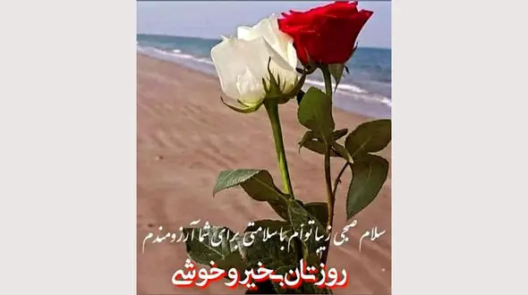 فال روزانه شخصی / 26 مرداد ماه + فیلم