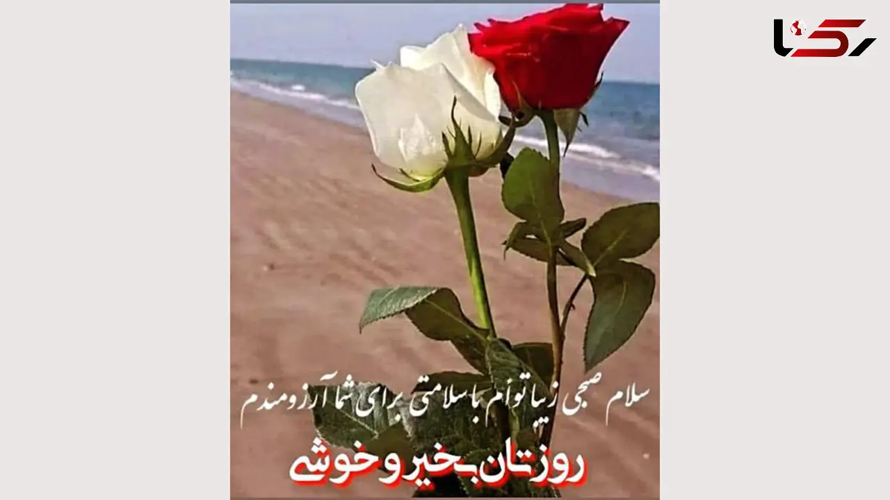 فال روزانه شخصی / 25 مرداد ماه + فیلم