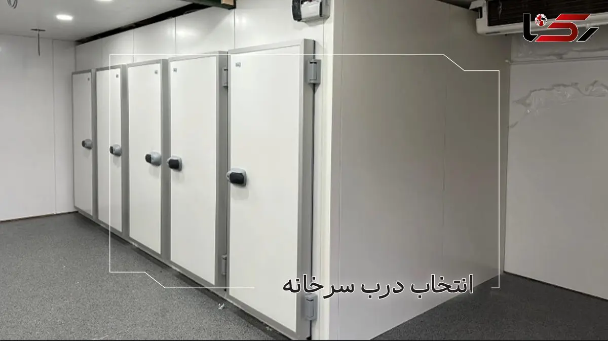 درب سردخانه مناسب پروژه شما کدام است؟ بررسی فنی پیش از خرید