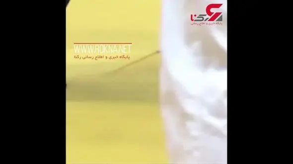 وقتی یک حشره وارد تشک مسابقه جودوی 2 زن شد + فیلم