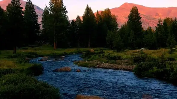 روز خوبی داشته باشید