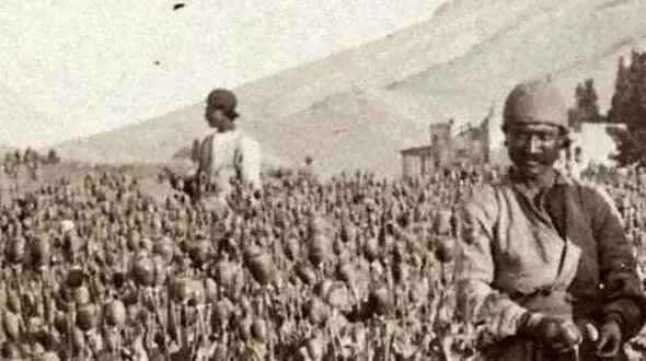نخستین سفیر ژاپن در ایران: تریاک ایران بهترین در جهان است!
