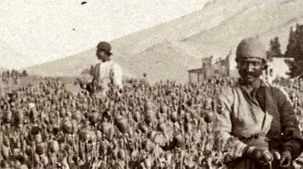 نخستین سفیر ژاپن در ایران: تریاک ایران بهترین در جهان است!