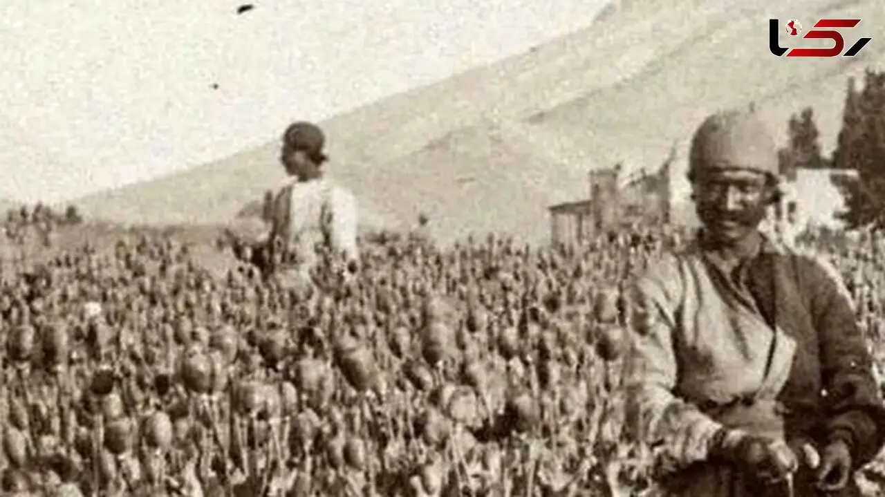 نخستین سفیر ژاپن در ایران: تریاک ایران بهترین در جهان است!
