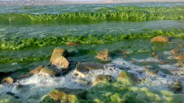 رود بین المللی ارس سبز شد! + فیلم +عکس