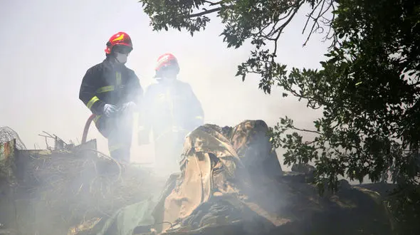 عملیات نفسگیر اطفاء حریق در پارک ملی شیراز + جزئیات