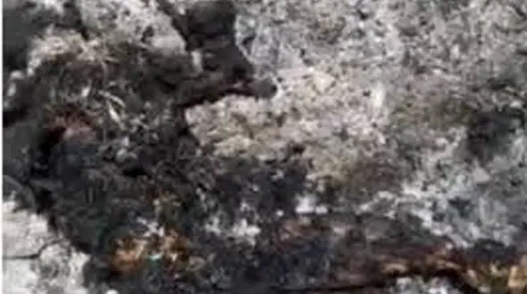 عشوه های هوس آلود زن 32 ساله برای پسر 20 ساله / صیغه شد و ...