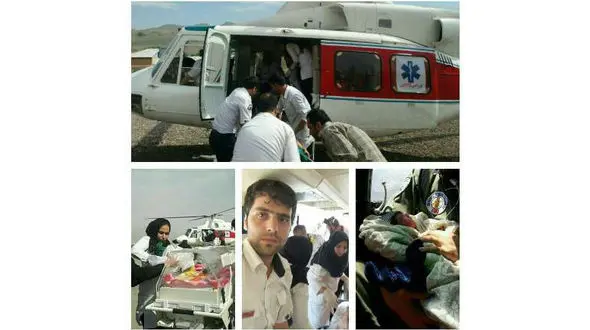 تولد نوزاد عجول در آسمان البرز