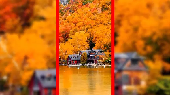 فیلم ۵ شهر آمریکا با بیشترین میلیاردرها