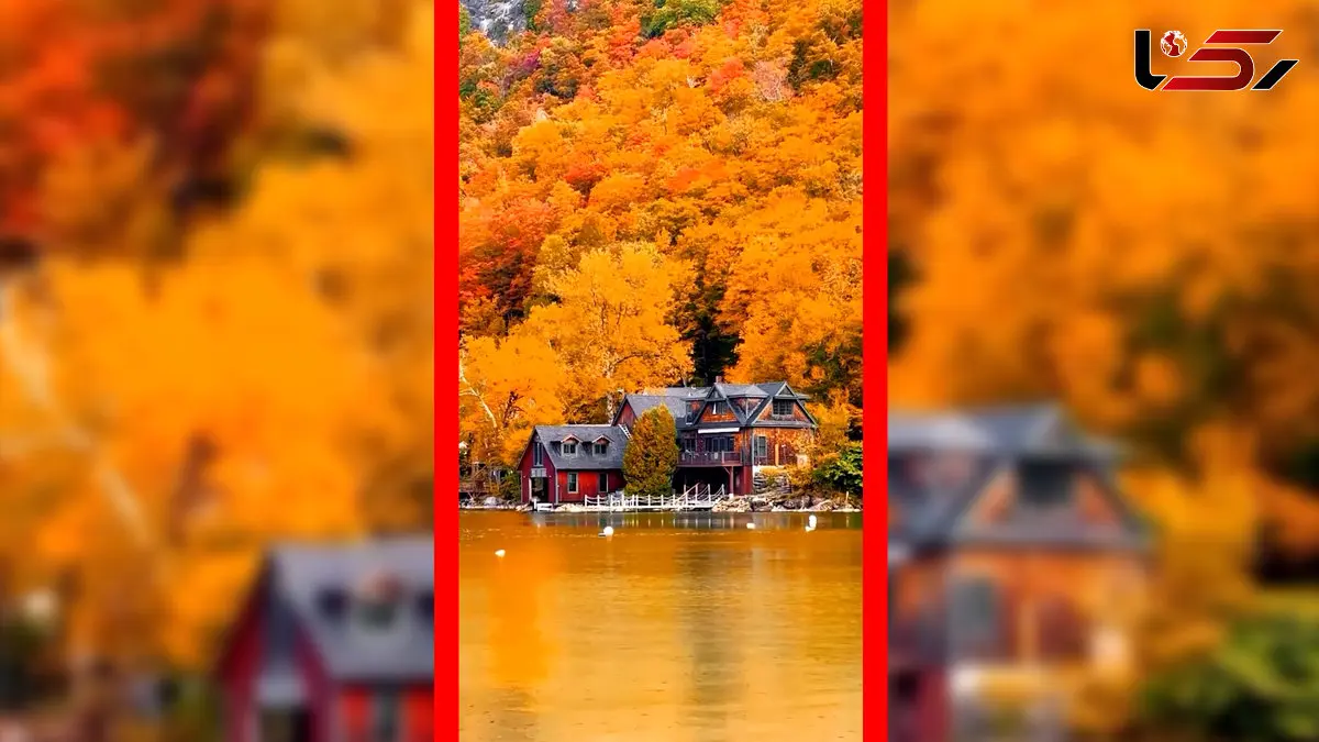 فیلم ۵ شهر آمریکا با بیشترین میلیاردرها