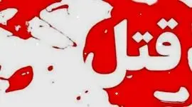 قتل راننده خودروی نیسان در دشت آزادگان/ متهمان به دفن جسد در نقطه ای دورافتاده اعتراف کردند