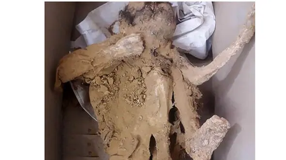 فیلم صحنه کشف اجساد مومیایی در معدن اصفهان / راز اسکلت ها برملا شد