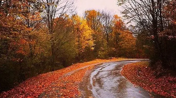 هشدار برای کاهش بارش باران در 3 ماه دوم سال/ 6 استان در مرز خشکسالی