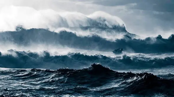 برندگان مسابقه عکاسی اقیانوس؛ نمایی شگفت‌ انگیز از طبیعت زیر آب + عکس