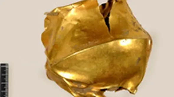 کشف جام طلایی 4000 ساله + عکس