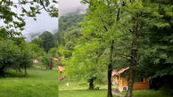 ببینید / پارک جنگلی زیبای جوارم در سوادکوه مازندران + فیلم