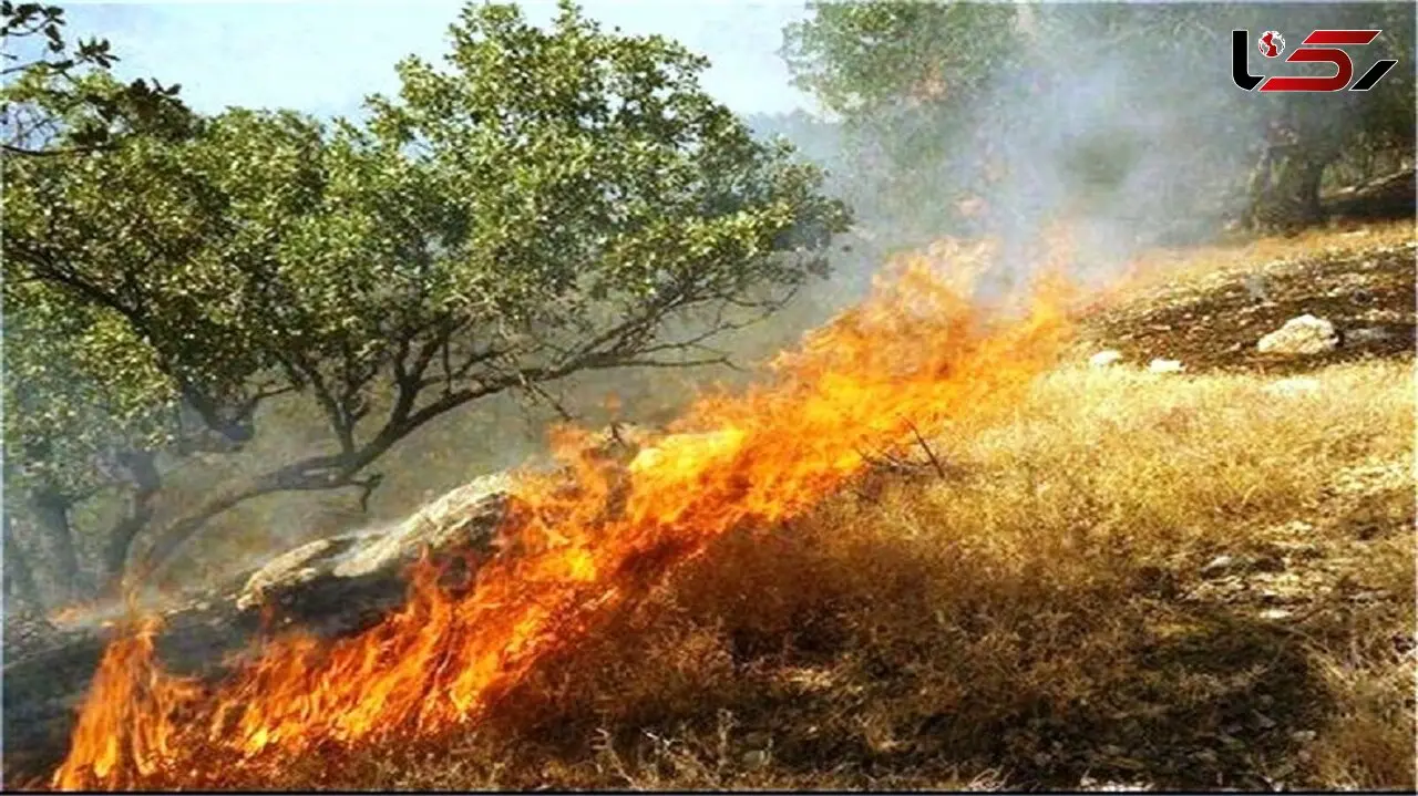 به کمک جنگل های استان سمنان بشتابید / آتش سوزی در کمین است