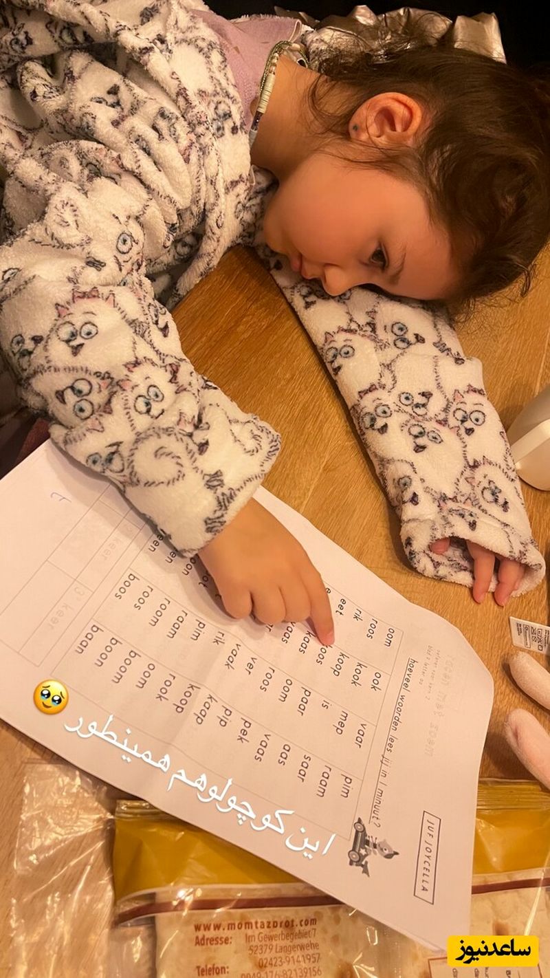 نبات