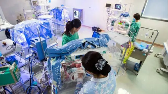 تولد 3 قلوهای عجیب در دو روز + عکس