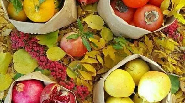 این میوه ها جایگزین آرامبخش هاست