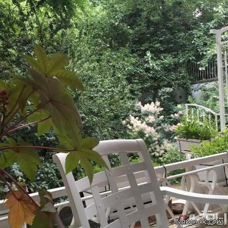 نیکی کریمی