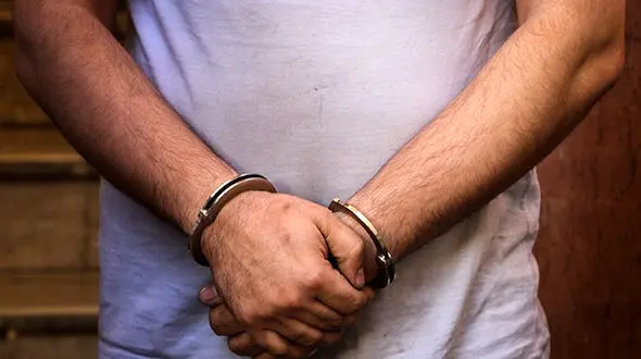 عوامل پروژه‌های کشف حجاب مصی علینژاد بازداشت شد