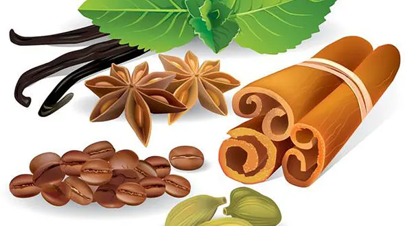 8 ادویه و سبزیجات درمان کننده را بشناسید