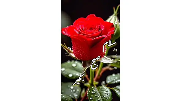 فال حافظ امروز 5 آذر + فیلم