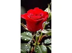 فال حافظ امروز 5 آذر + فیلم