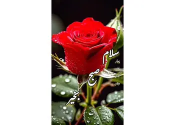 فال حافظ امروز 5 آذر + فیلم