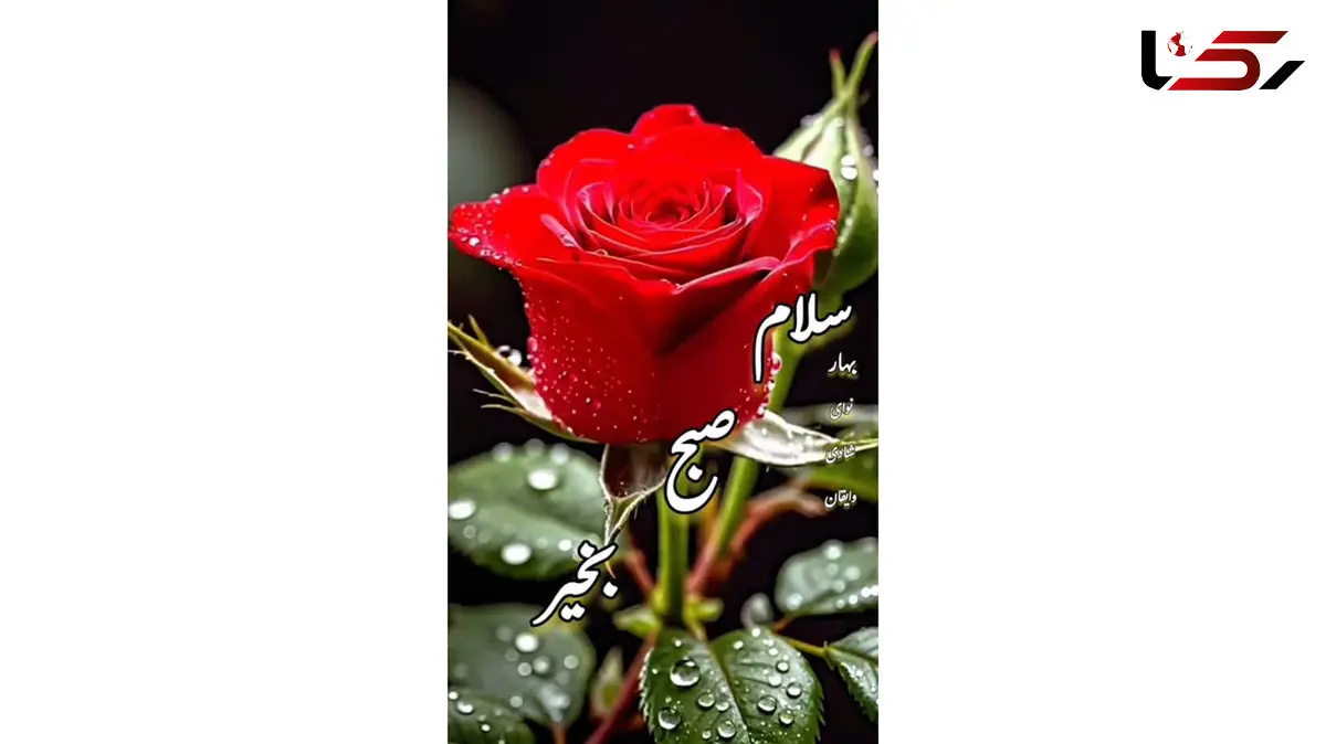 فال حافظ امروز 5 آذر + فیلم