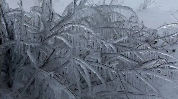 بارش برف در تهران تا کی ادامه دارد؟ + جزییات