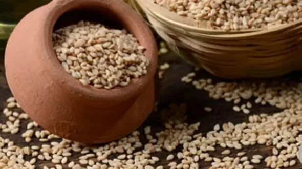 عراق مشتری کنجد ایرانی