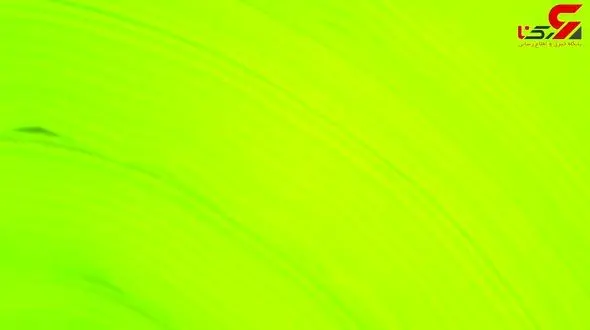 فیلمی حیرت آور و تحسین برانگیز از تولید توپ تنیس!